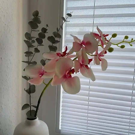 Lucky Ls08 - Vollausstattung - Zentrum - Aufzug - Grosse Kueche - 2 - Smart-tv マクデブルク