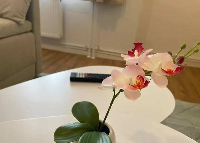 Apartamento Lucky Ls08 - Vollausstattung - Zentrum - Aufzug - Grosse Kueche - 2 - Smart-tv