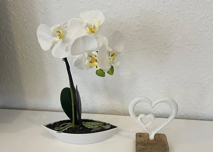 Lucky Ls08 - Vollausstattung - Zentrum - Aufzug - Grosse Kueche - 2 - Smart-tv Apartamento